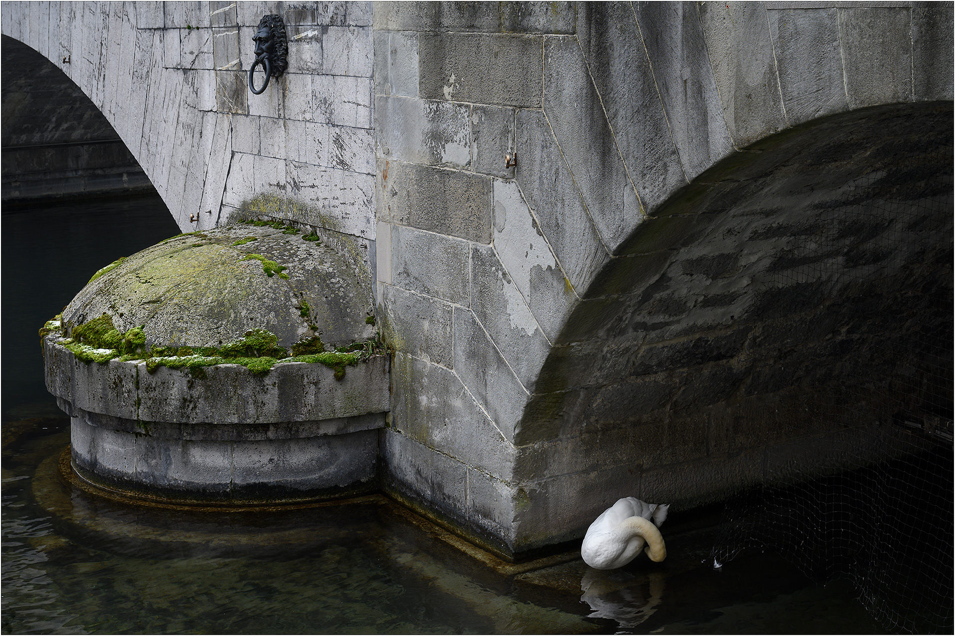 L1_Limmat_2301_Z62_106 L1 - Limmat Januar 2023