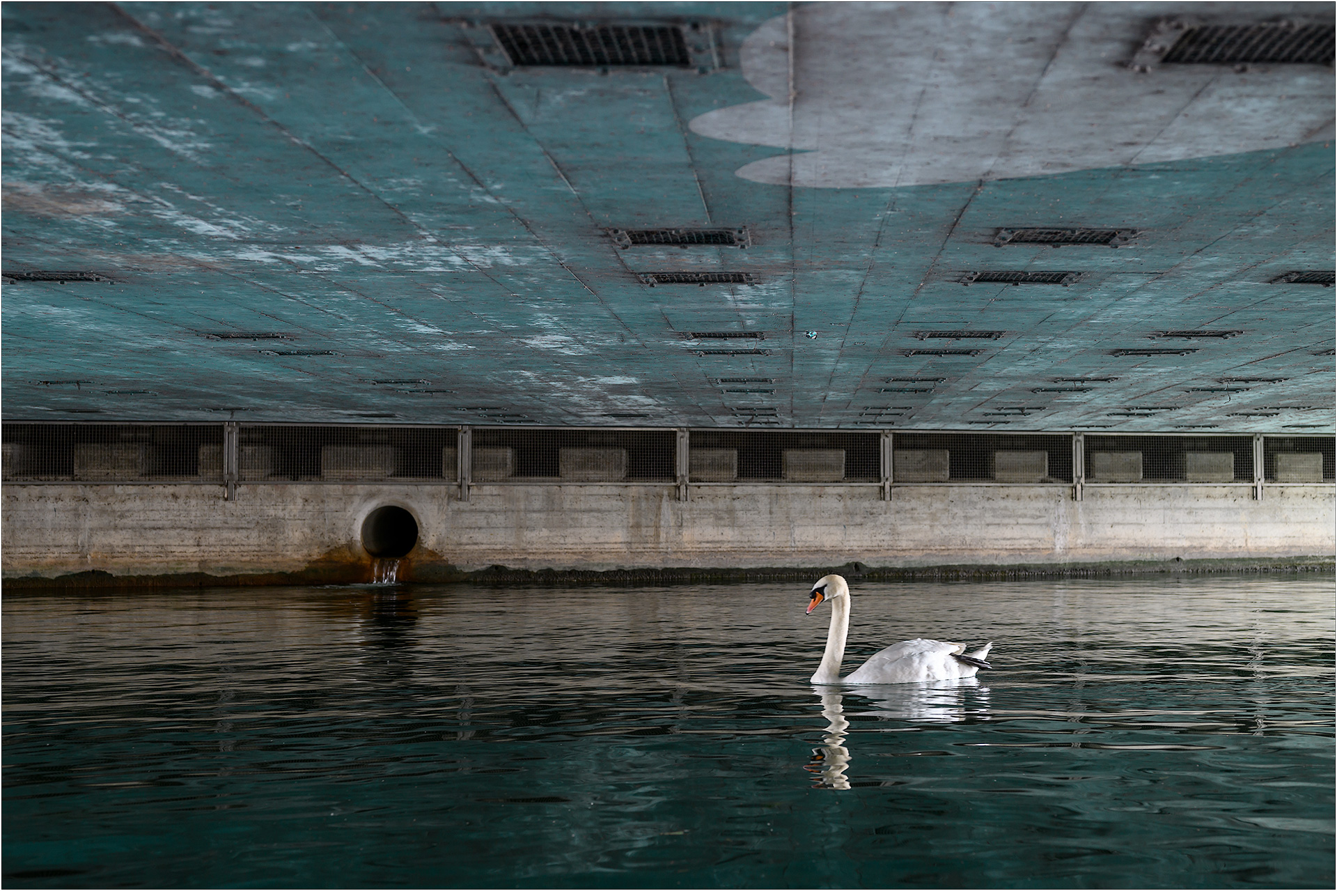 L2_Schanzengraben_2206_Z62_052 L2 - Schanzengraben Juni 2022