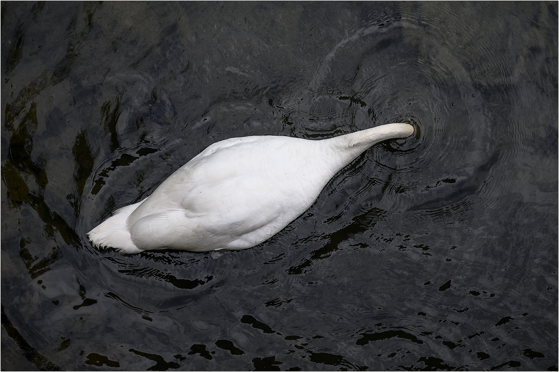 L3_Schanzengraben_2404_Z62_011 L3 - Schanzengraben April 2024