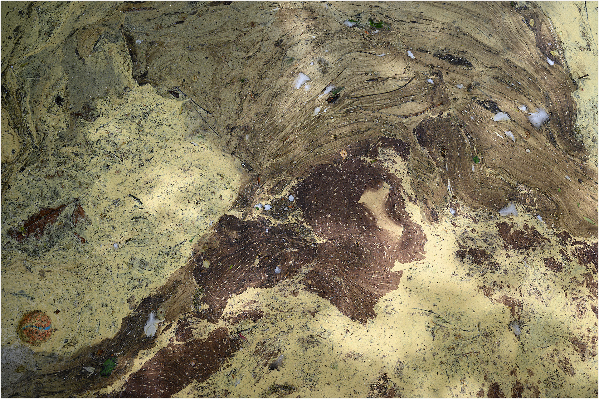 O3_Schanzengraben_2404_Z62_016 O3 - Schanzengraben April 2024