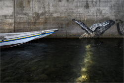 D1 - Limmat Juli 2023