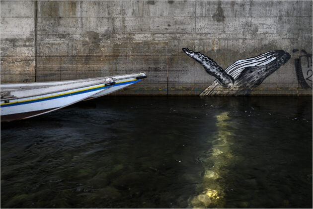 D1 - Limmat Juli 2023