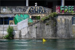 F1 - Limmat Juli 2024