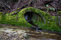 K1 - Wildbach Januar 2024