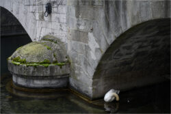 L1 - Limmat Januar 2023