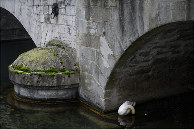 L1 - Limmat Januar 2023