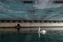 L2 - Schanzengraben Juni 2022