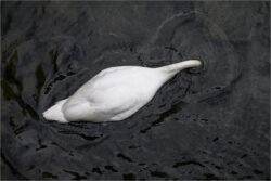 L3 - Schanzengraben April 2024