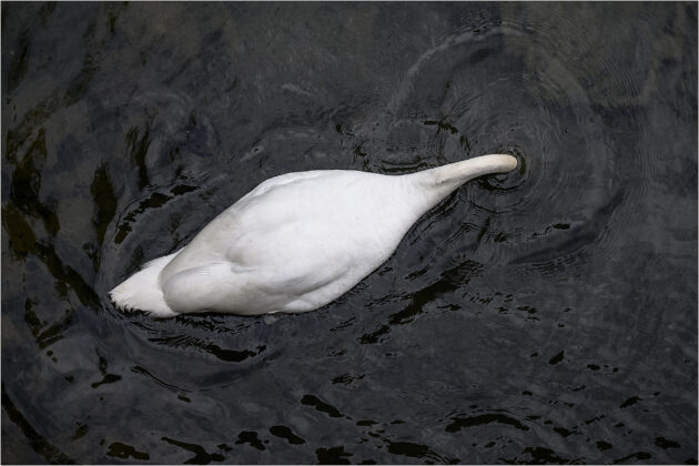 L3 - Schanzengraben April 2024