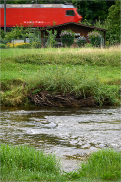 N2 - Sihl August 2023