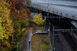 N4 - Sihl November 2021