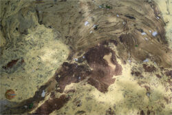 O3 - Schanzengraben April 2024